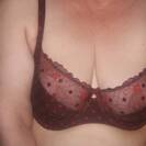 dama50 dama50