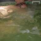 monellina81 monellina81