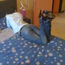 casalinga-fullmonty86 casalinga-fullmonty86