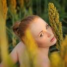 virginflower7 virginflower7